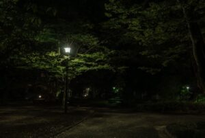 【東京都新宿区の探偵の不倫・浮気調査】夜な夜な立ちんぼを買いに出かけていた夫