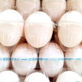 【岐阜・生卵投げつけ事件】異常な嫌がらせ行為にも、あきらめずに対抗しましょう