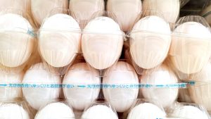 【岐阜・生卵投げつけ事件】異常な嫌がらせ行為にも、あきらめずに対抗しましょう