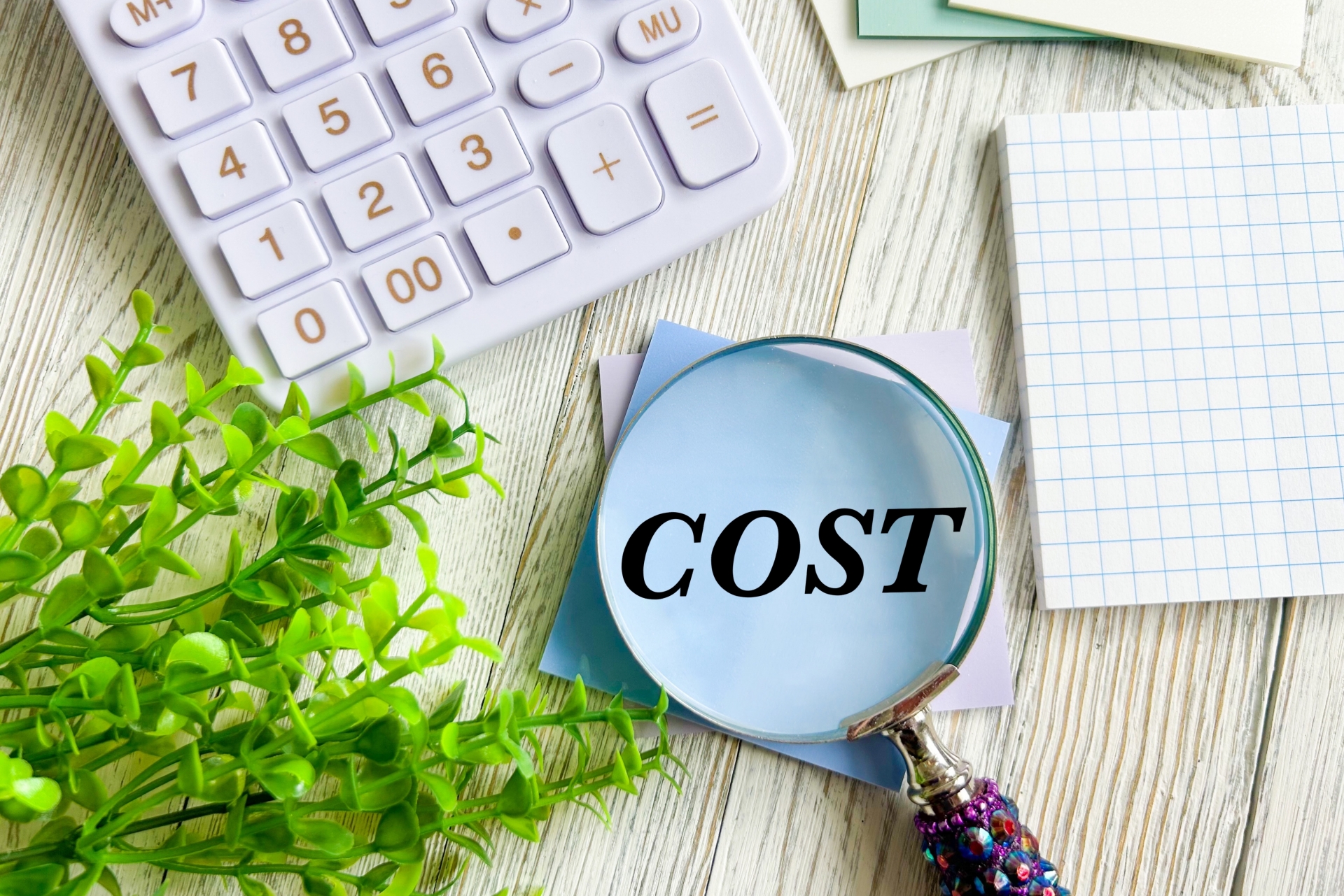 ペット捜査にかかる費用の相場