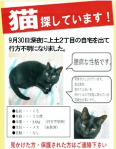 ペット捜索【静岡市葵区上土地区】無事に捕獲されました。